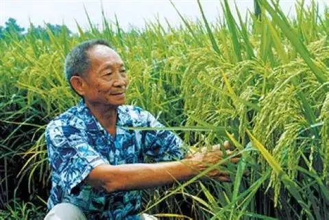 公证管理 第1610页