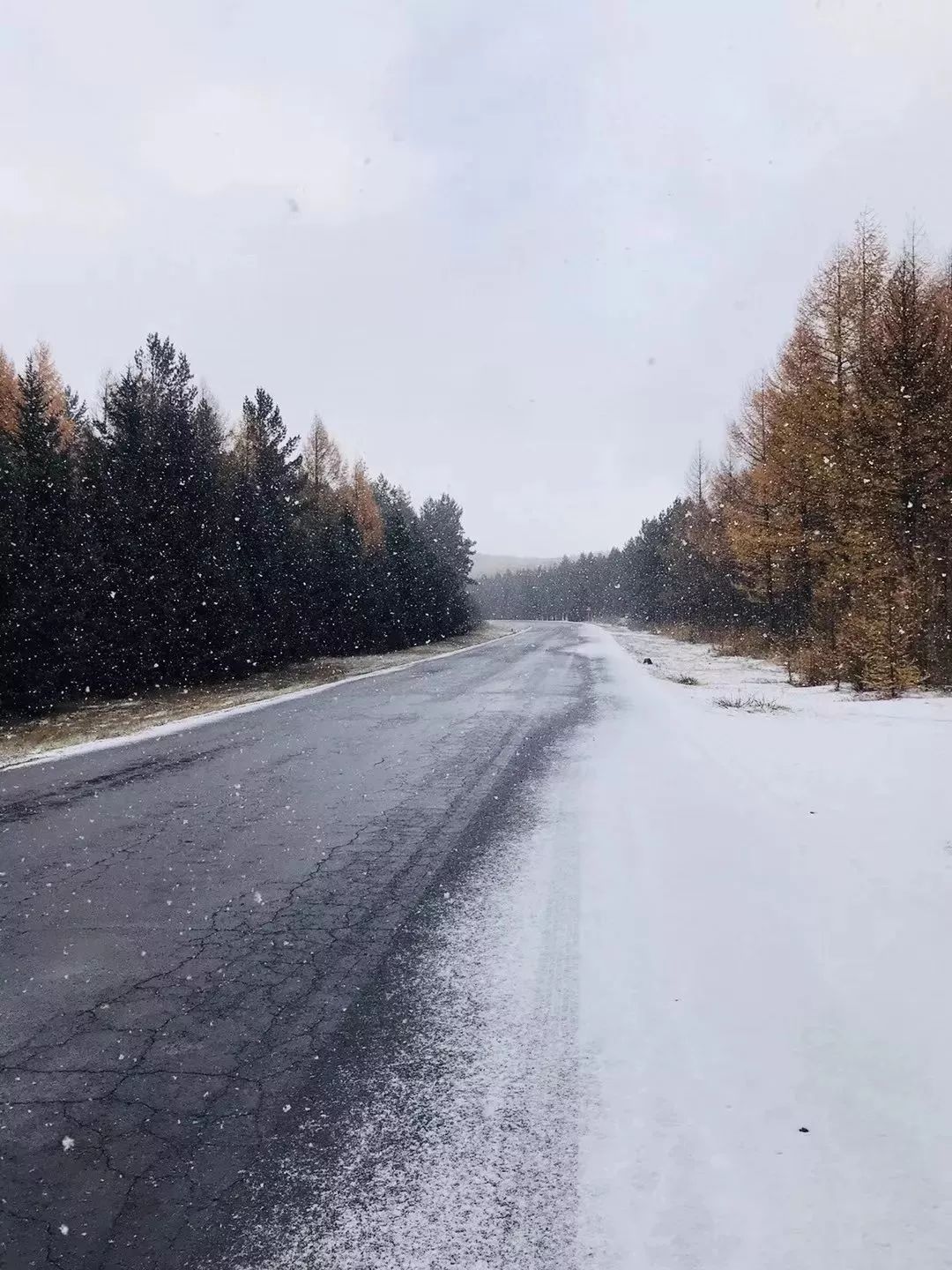 北京下雪了！实拍雪景美不胜收