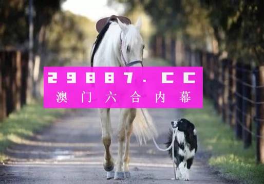 违法犯罪问题 第146页
