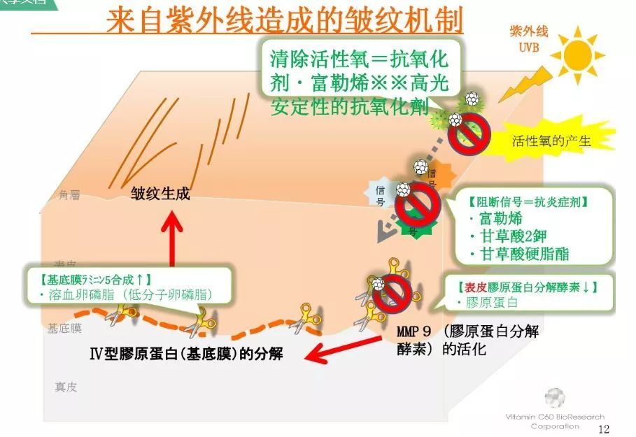 违法犯罪问题 第144页