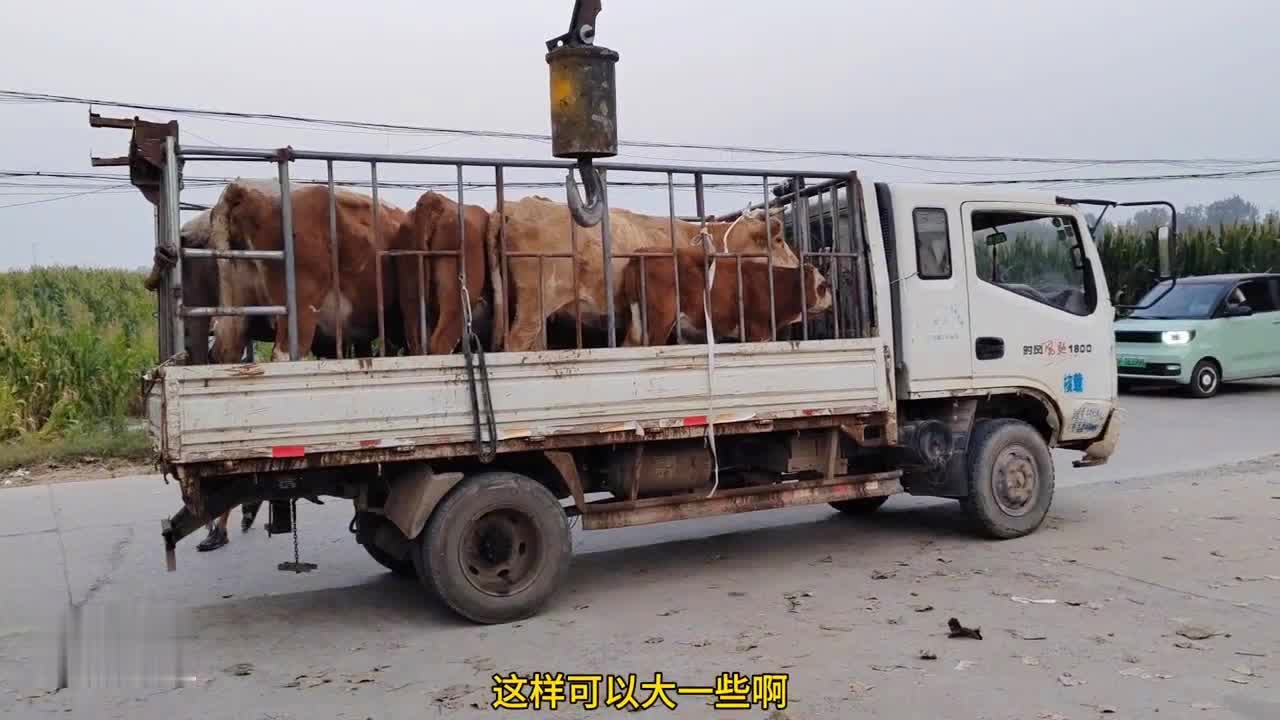 存证 第1335页