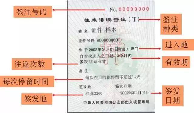新澳门开奖结果2024开奖,快速解析响应策略_nShop75.15.58