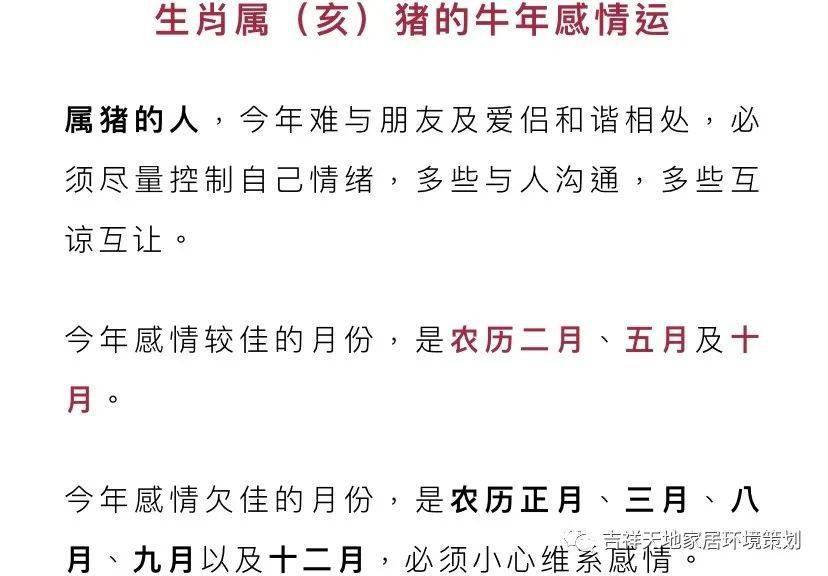 澳门必中生肖秘籍独家解析赢利秘诀_赚钱宝典37.912
