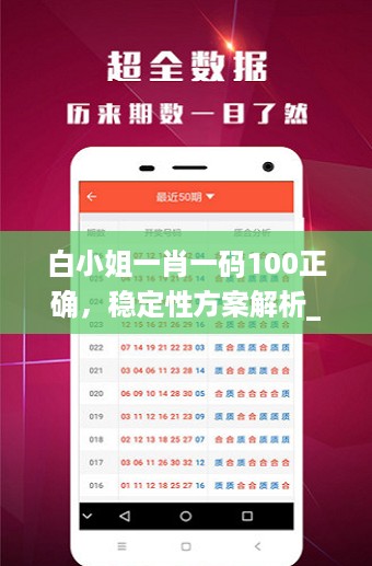 白小姐一肖一码100正确，稳定性方案解析_网页版63.9.96
