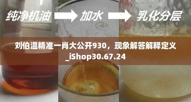 刘伯温精准一肖大公开930，现象解答解释定义_iShop30.67.24