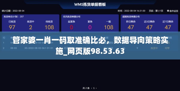 管家婆一肖一码取准确比必，数据导向策略实施_网页版98.53.63