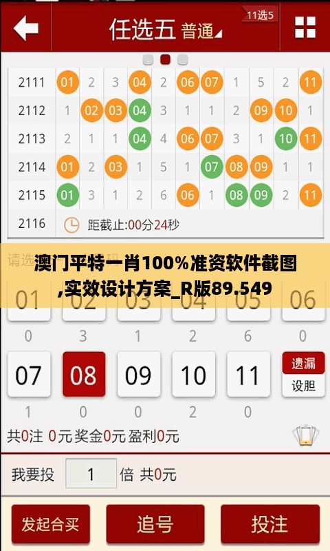 澳门平特一肖100%准资软件截图,实效设计方案_R版89.549