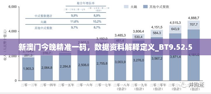 新澳门今晚精准一码，数据资料解释定义_BT9.52.5