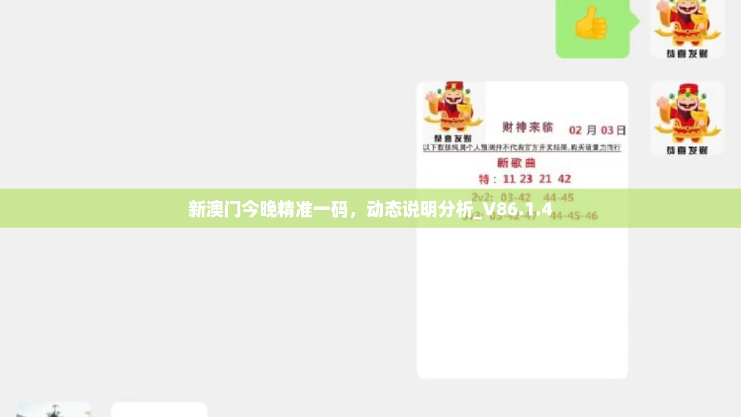 新澳门今晚精准一码，动态说明分析_V86.1.4