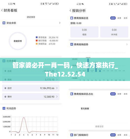 管家婆必开一肖一码，快速方案执行_The12.52.54