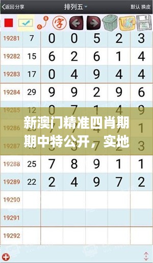 新澳门精准四肖期期中特公开，实地数据执行分析_3D82.3.62