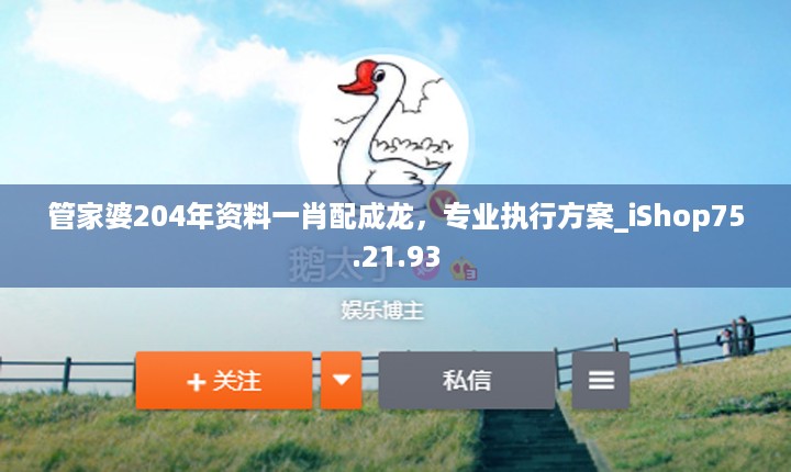 管家婆204年资料一肖配成龙，专业执行方案_iShop75.21.93