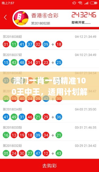 澳门一肖一码精准100王中王，适用计划解析方案_iPhone82.82.4