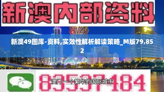 新澳49图库-资料,实效性解析解读策略_M版79.852
