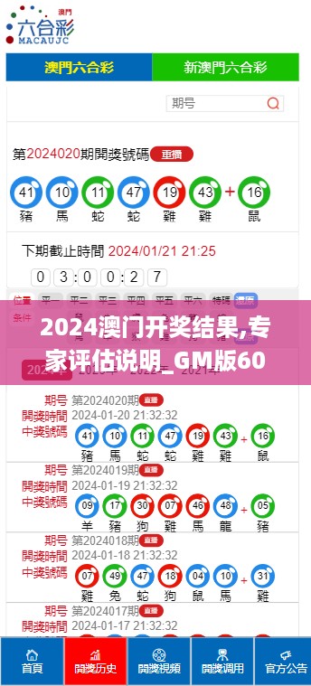 2024澳门开奖结果,专家评估说明_GM版60.311