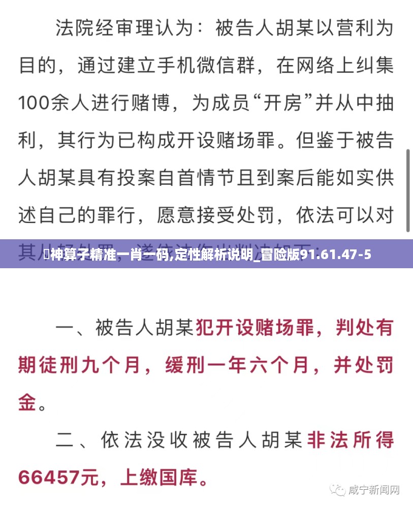 一肖一码（或精准预测）