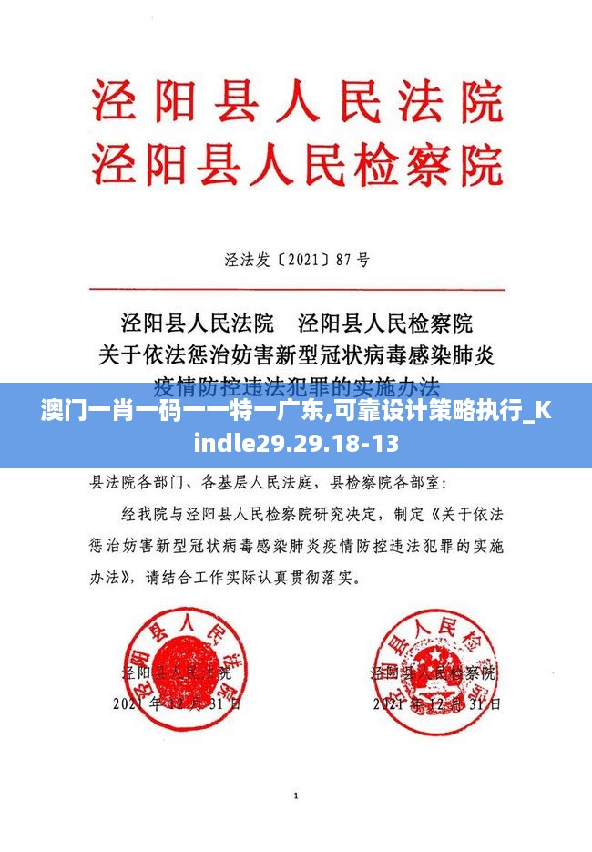 澳门一肖一码一一特一广东,可靠设计策略执行_Kindle29.29.18-13
