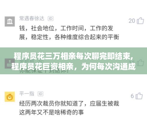 程序员花巨资相亲却速战速决的背后原因探讨