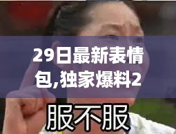 炸裂来袭！29日最新表情包炫酷亮相，让你的聊天不再单调！