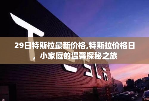 特斯拉最新价格日，小家庭探秘之旅的温馨预算参考