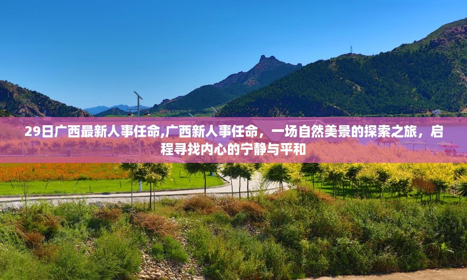 初告白 第51页