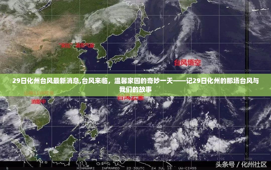 台风来临下的温馨家园，化州29日台风的奇妙故事