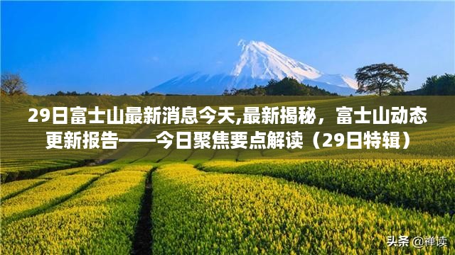 富士山最新动态报告，今日聚焦要点解读（29日特辑）