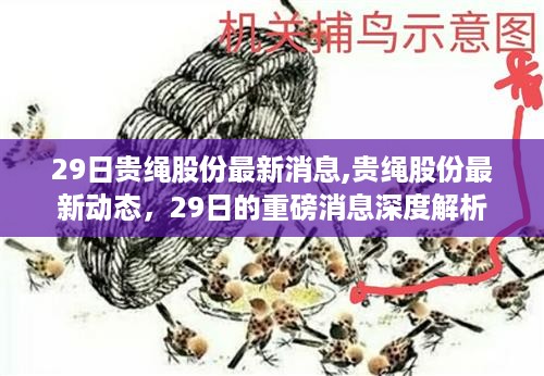 贵绳股份最新动态深度解析，最新消息揭秘重磅动态