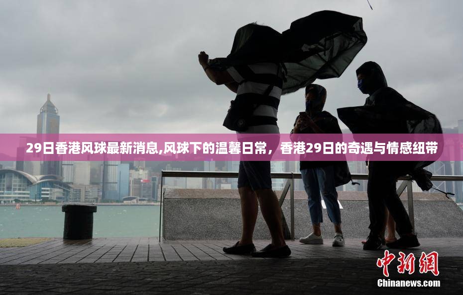 香港风球下的温馨日常与情感纽带，29日的奇遇与日常故事