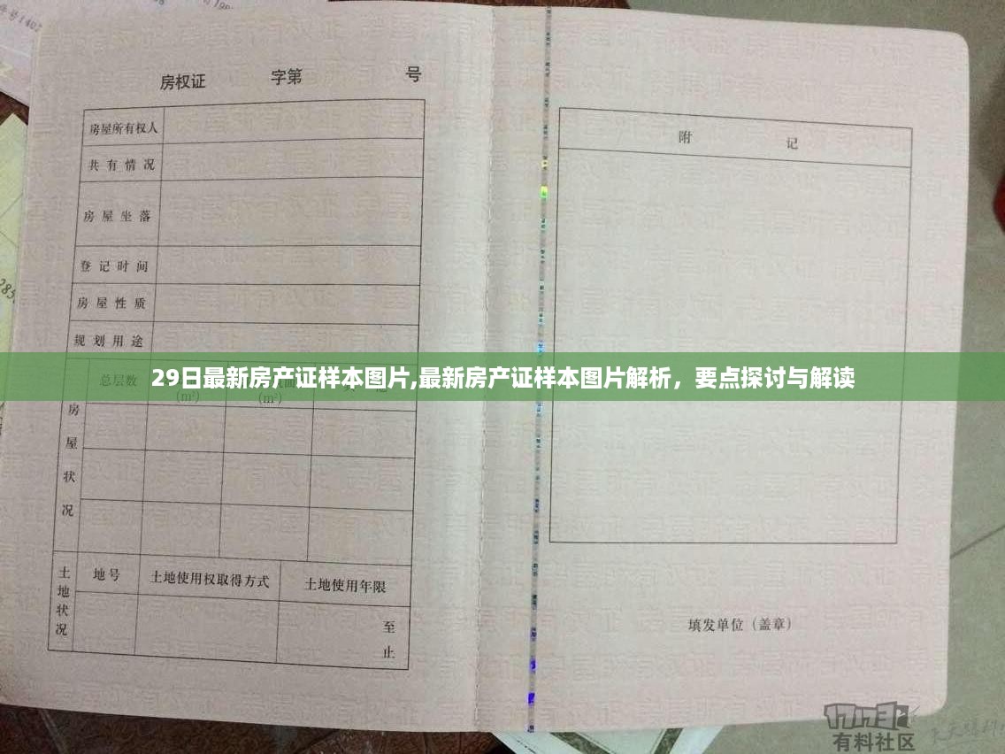 最新房产证样本图片解析及要点探讨，解读与探讨的标题
