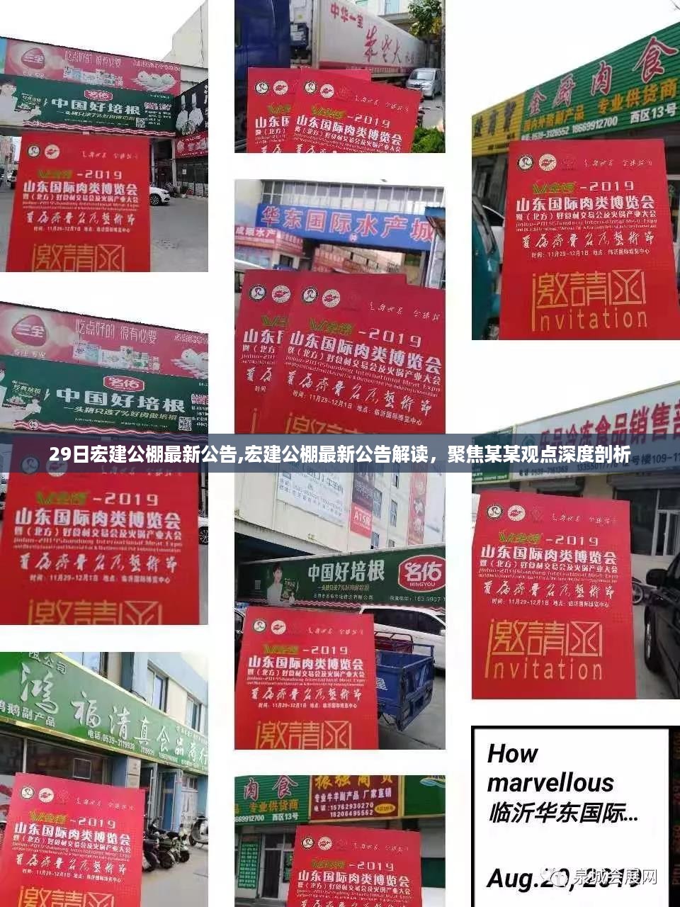 宏建公棚最新公告解读，聚焦某某观点深度剖析与解读