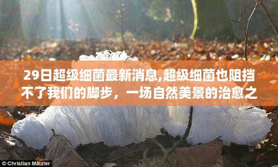 超级细菌阻挡不了脚步，自然美景治愈之旅的最新消息