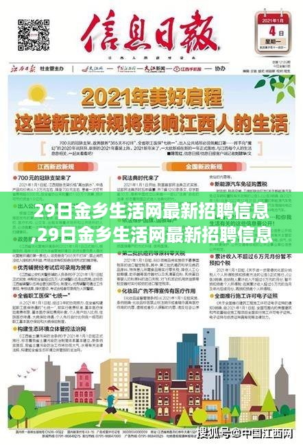 29日金乡生活网最新招聘信息全解析