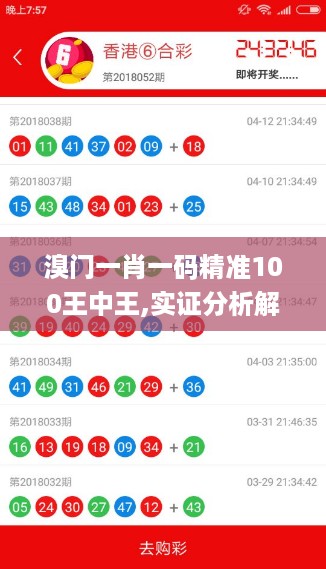 溴门一肖一码精准100王中王,实证分析解释定义_10K6.15