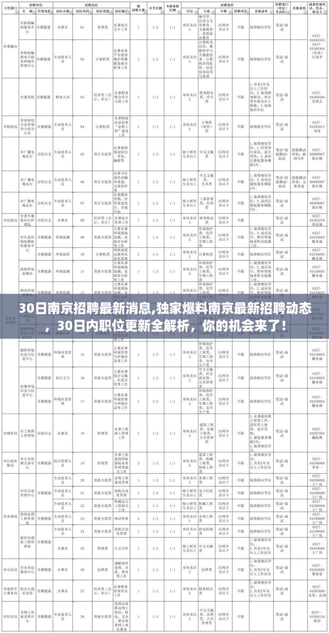 南京最新招聘动态揭秘，独家爆料职位更新，把握30日内的求职机会！