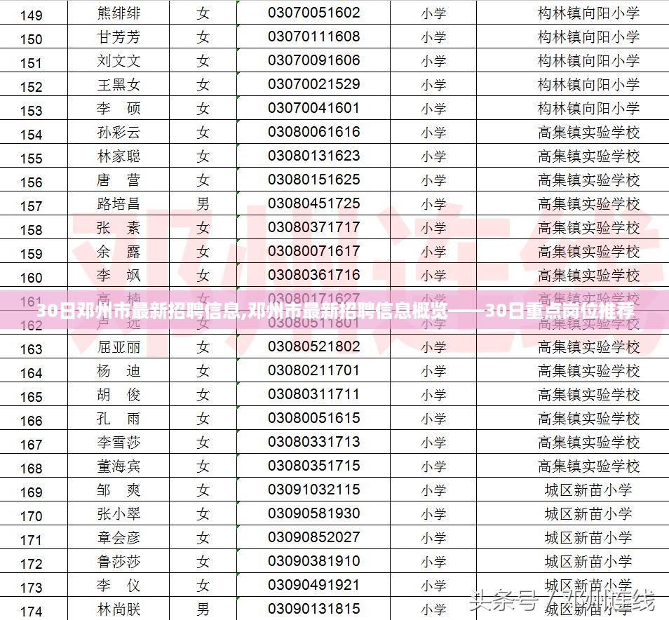 邓州市最新招聘信息概览，重点岗位推荐（3月30日）