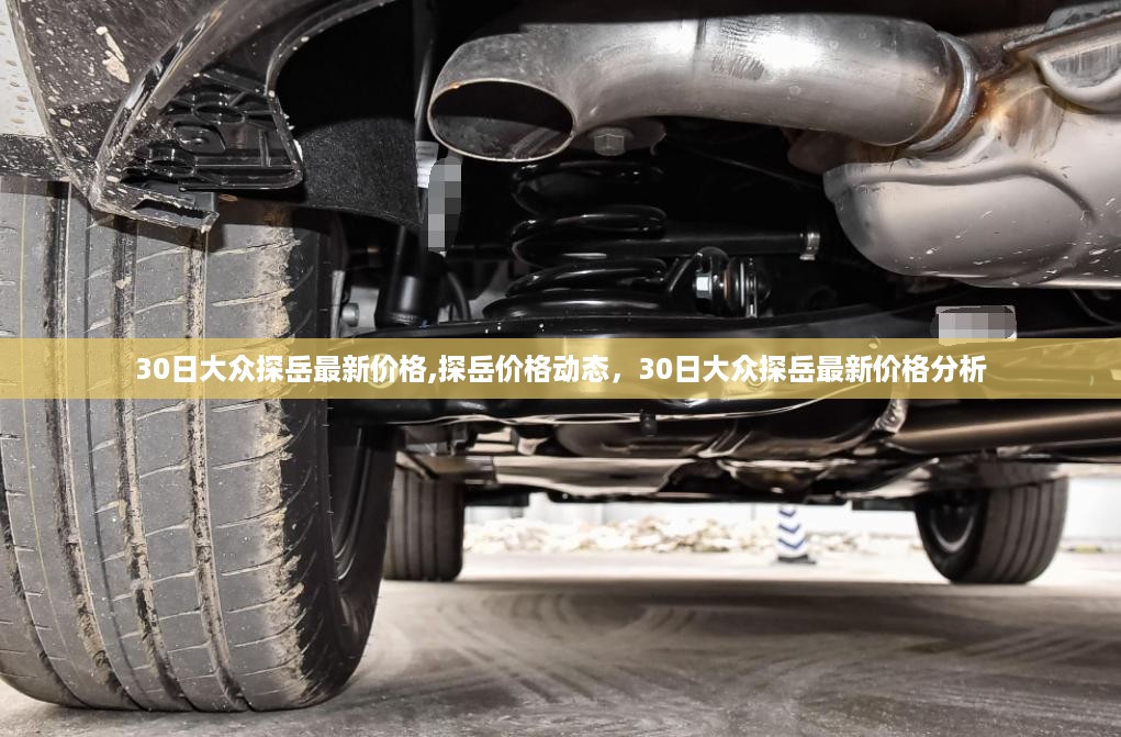 大众探岳最新价格动态及分析，30日最新报价揭秘