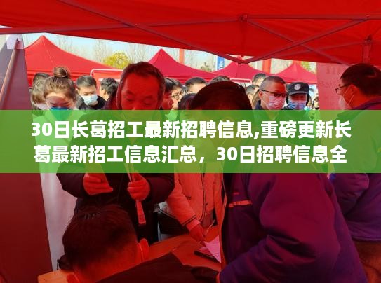 30日长葛最新招工信息汇总，全新招聘解析与你的职业机会