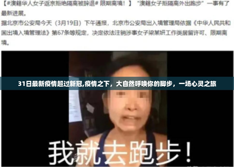 花开无言 第42页