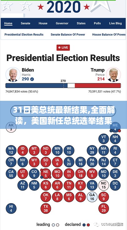 初告白 第41页