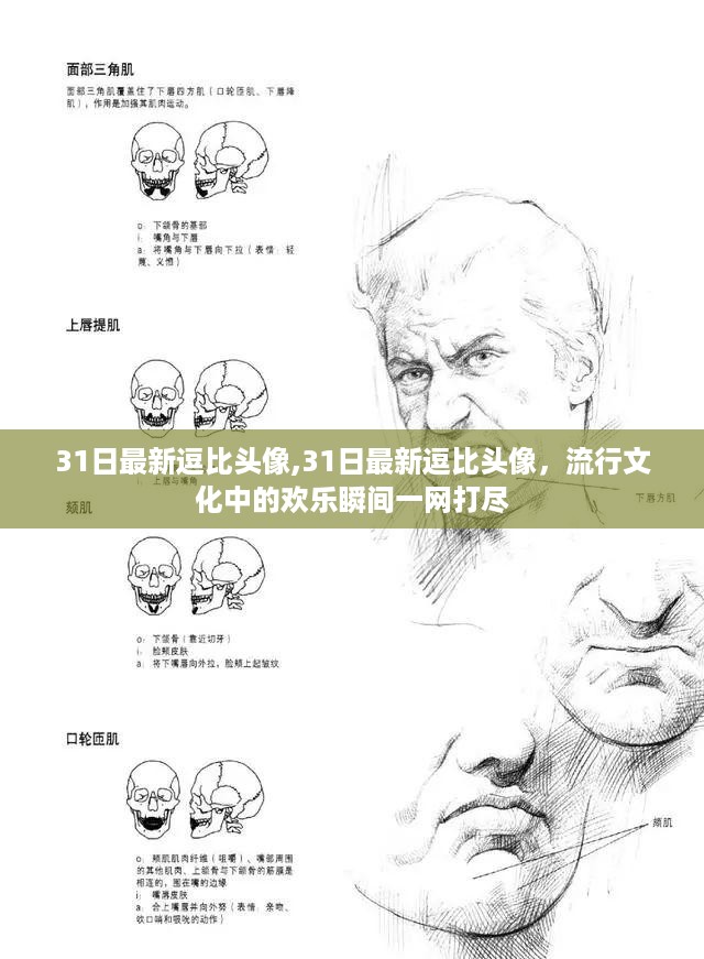流行文化中的欢乐瞬间，最新逗比头像一网打尽（31日更新）
