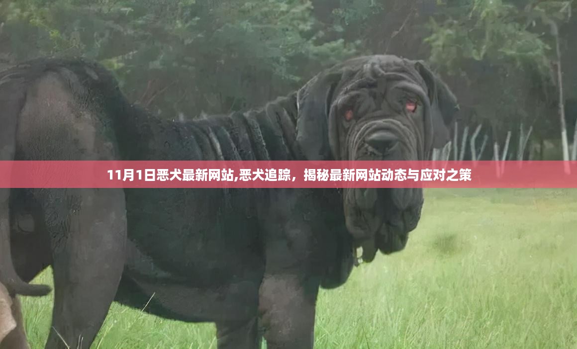 犯罪问题深度剖析
