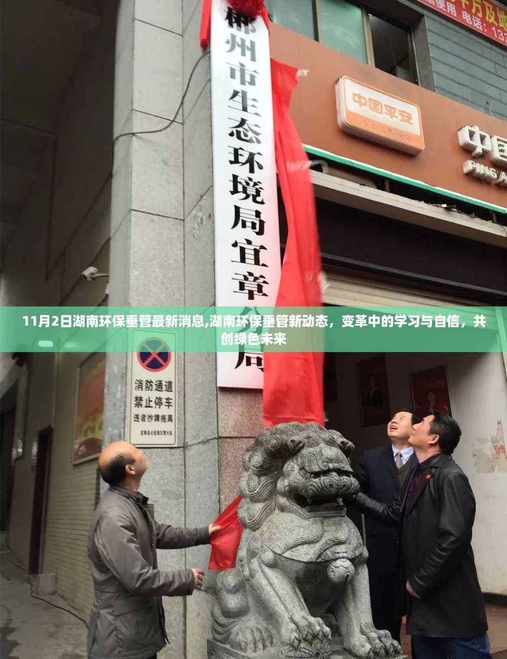 沉默的风 第31页