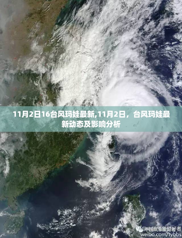 台风玛娃最新动态及影响分析（截至11月2日）