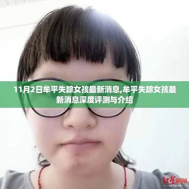 牟平失踪女孩最新消息，深度评测与介绍