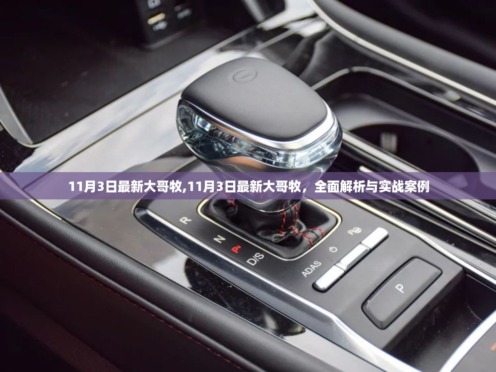 全面解析与实战案例，最新大哥牧介绍及操作指南（11月3日更新版）