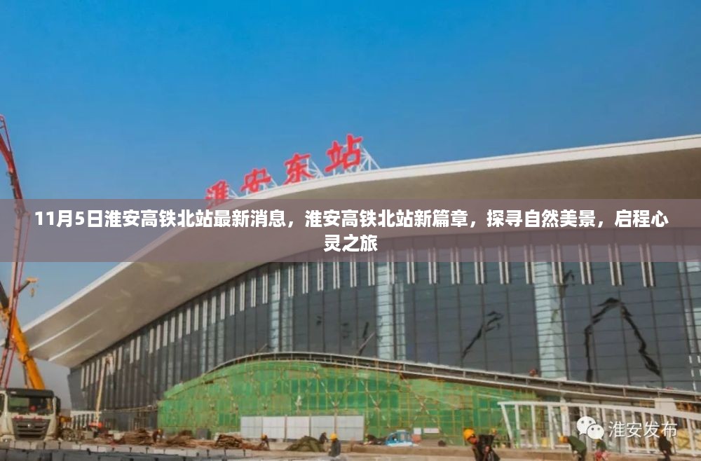 花开无言 第23页