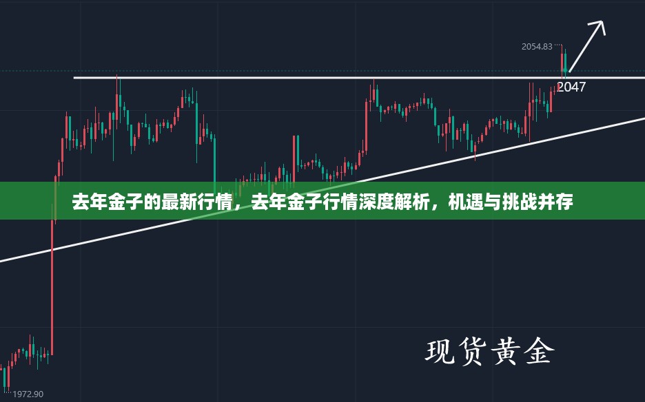去年金子行情解析，机遇与挑战的并存深度探究