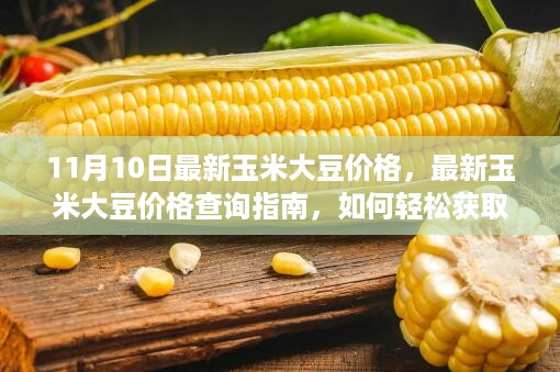 11月10日玉米大豆价格查询指南，轻松获取最新市场报价