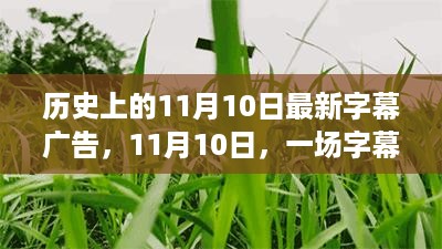 沉默的风 第17页